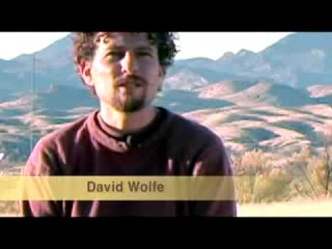 simply-raw:-reversing-diabetes-in-30-days
