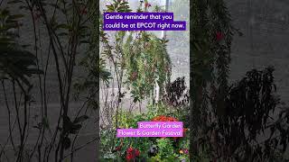 EPCOT Flower &amp; Garden Festival | Don't you wish you could be a Disney right now?