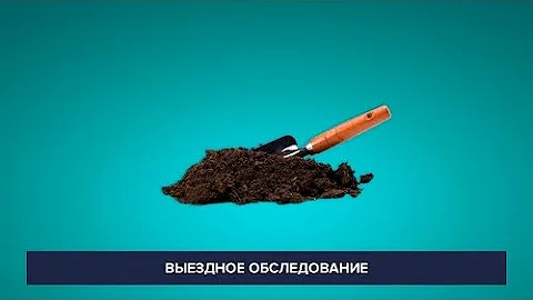Выездное обследование