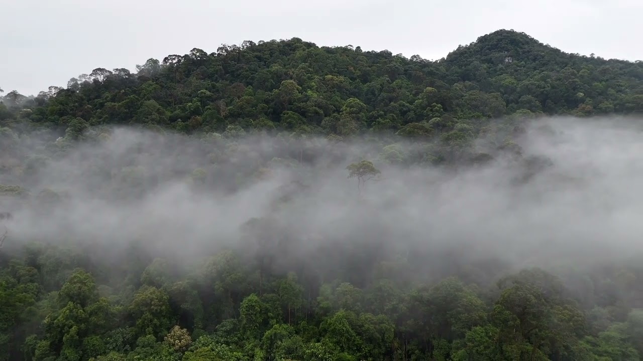 Pesona Ke indahan Alam Kalimantan 
