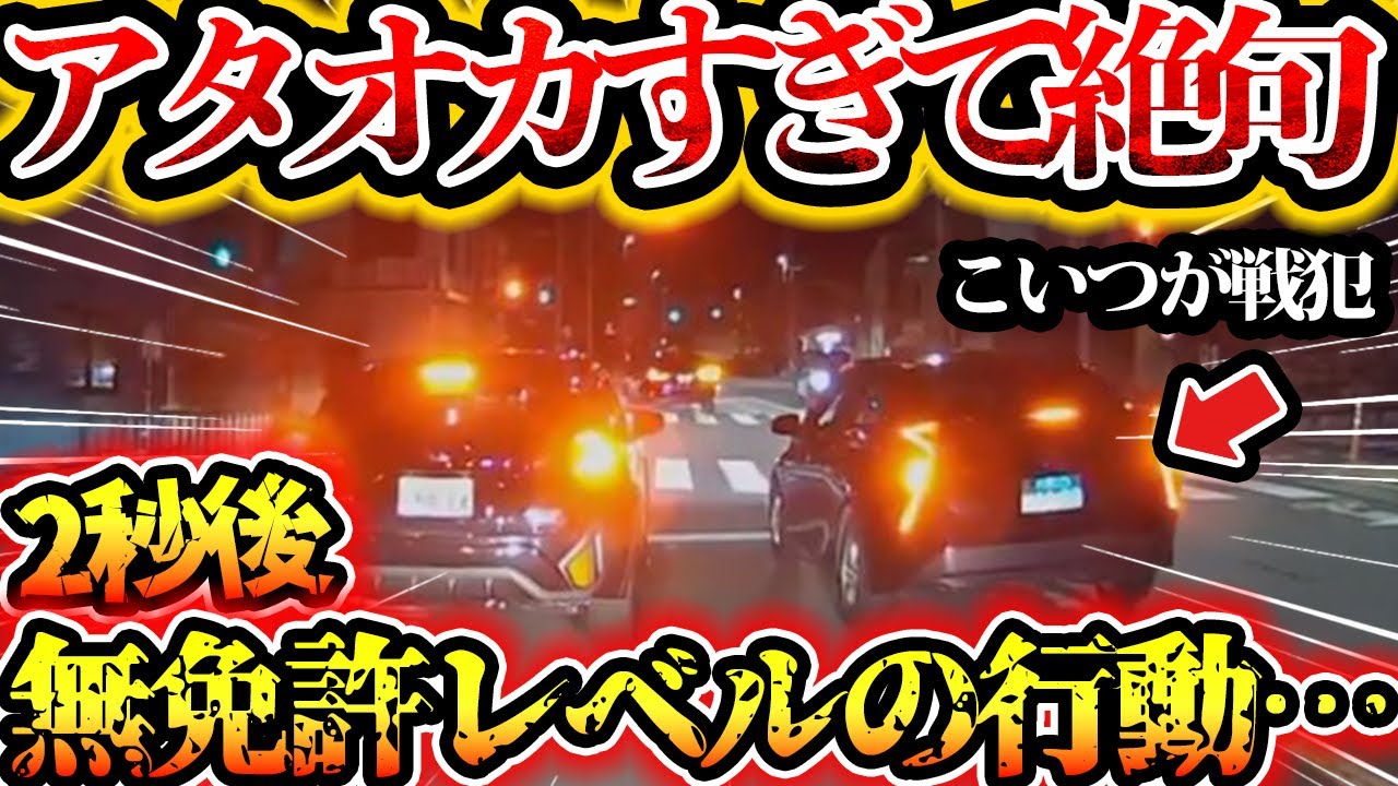 【ドラレコ】アタオカすぎて絶句！2秒後、無免許レベルの行動…　危険チャリカス　黄色信号で加速【交通安全啓発・危険予知トレーニング】