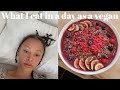 what I eat in a day | as a vegan teen