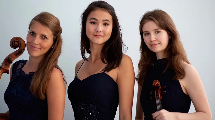 Mendelssohn Trio in d moll, Molto Allegro Agitato