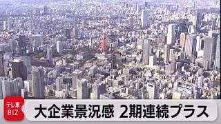 大企業景況感 ２期連続改善（2021年12月9日）