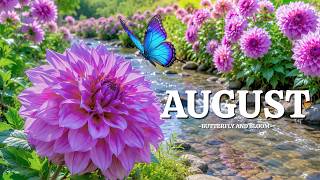 🌸 Butterflies & Flowers 4K • What Happens When a Meadow Blooms
