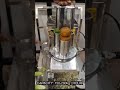 Vegetable Cutting Machine