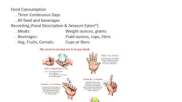 3 Day Diet Analysis Data