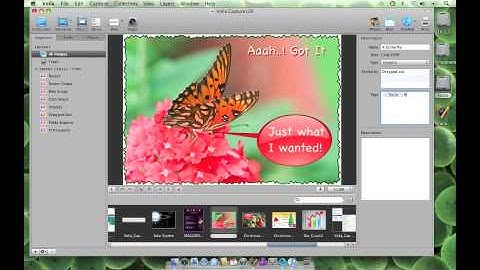 Voila v2.5 Tag and describe with Voila screen capture