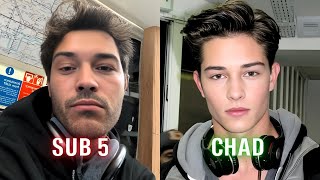 Looksmaes Male Models Gatekeep