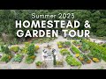 Summer garden tour and homestead update  july 2023