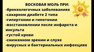 Восковая моль-лучшее средство при многих заболеваниях