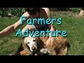 Farmers Adventure 2 Doggy Toenails