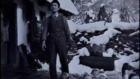 Sumner Jules Glimcher