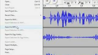 Using Audacity--the Basics