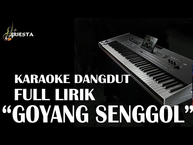 Goyang senggol Karaoke Full Lirik Dangdut Orgen Tunggal class=