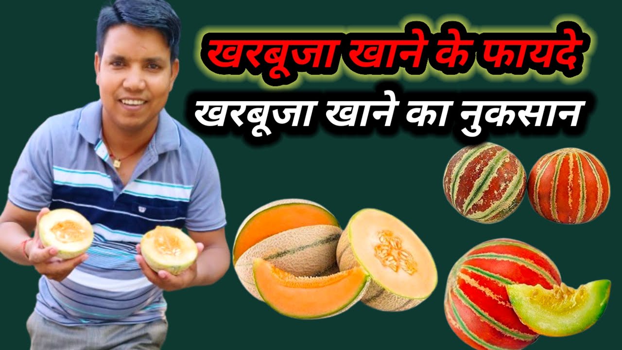 खरबूजे खाने के फायदे /और खरबूजा खाने के नुकसान 🤔 kharbuja _village vlogs/Deepak Kumar vlogs uk 18
