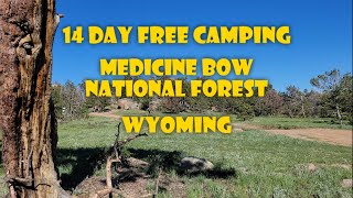 14 Day Free  Camping Medicine Bow National Forest Wyoming