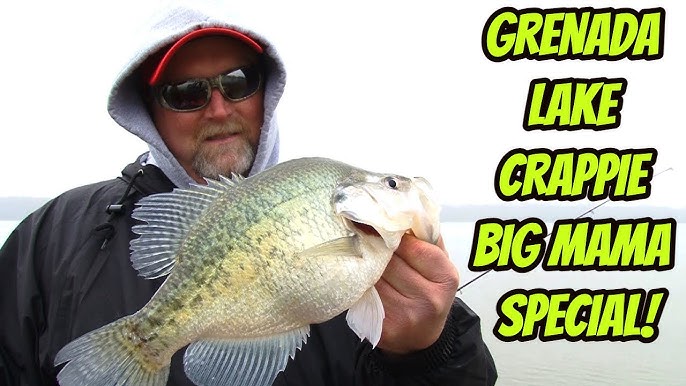 Best Places to Fish for Crappie: Grenada Lake, Mississippi - FishUSA