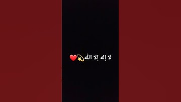 أفلا ينظرون إلى الإبل كيف خلقت/القارئ عبدالرحمن مسعد #قرآن