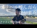 「デリヘル呼んだら君が来た/ナナホシ管弦楽団」を行くにも余裕なく悶々とした日々を過ごしながら弾き語る34歳限界社会人