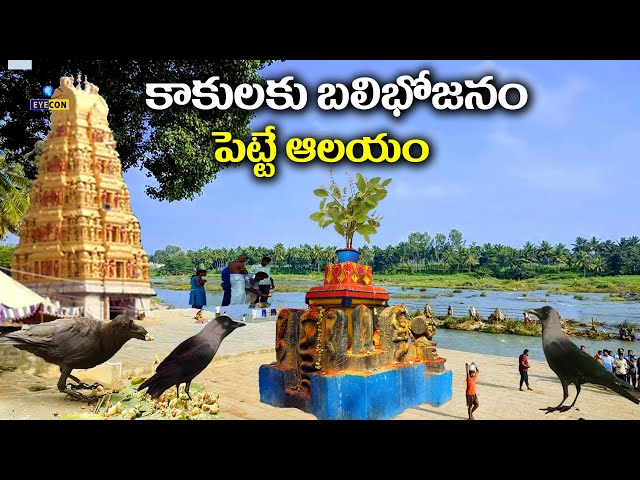 కాకులకుబలి భోజనం పెట్టే ఆలయం | Nimishambika Devi Temple,Srirangapatna | Eyecon facts class=