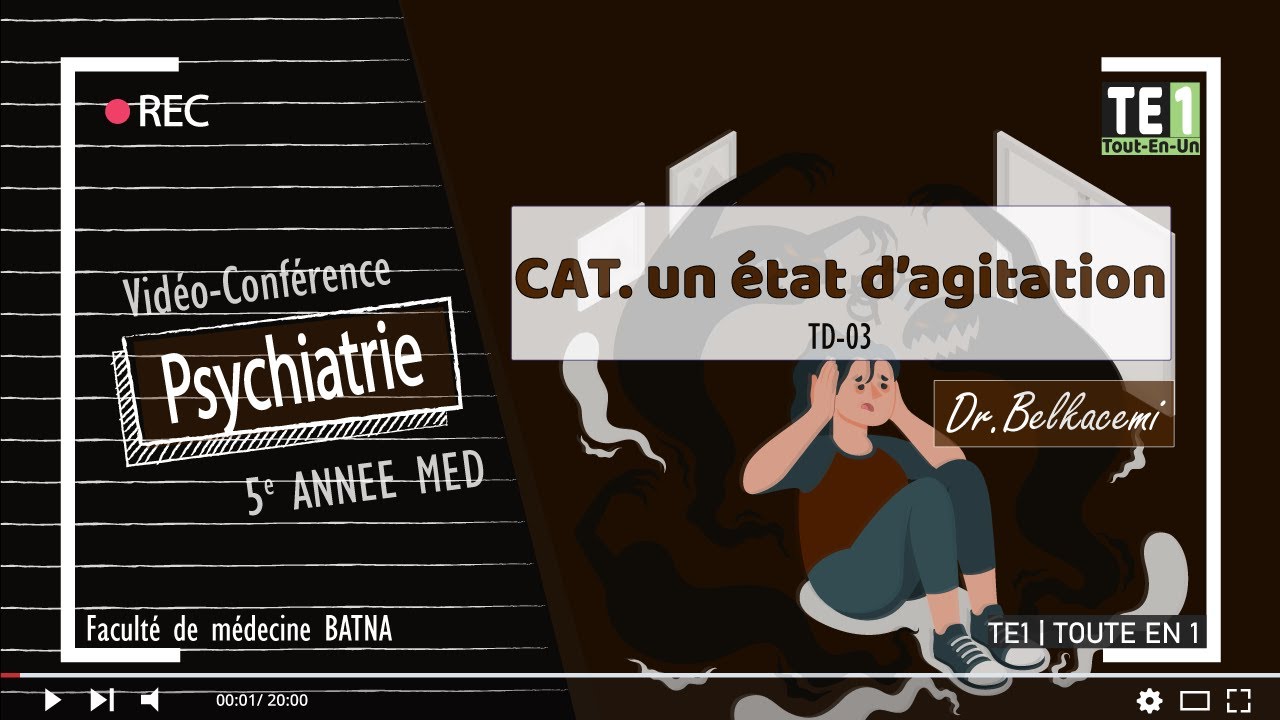 TD 03 | CAT devant un état d'agitation