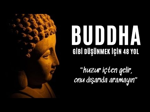 Buda Gibi Düşünmek İçin 48 Yol - Sesli Kitap Dinle