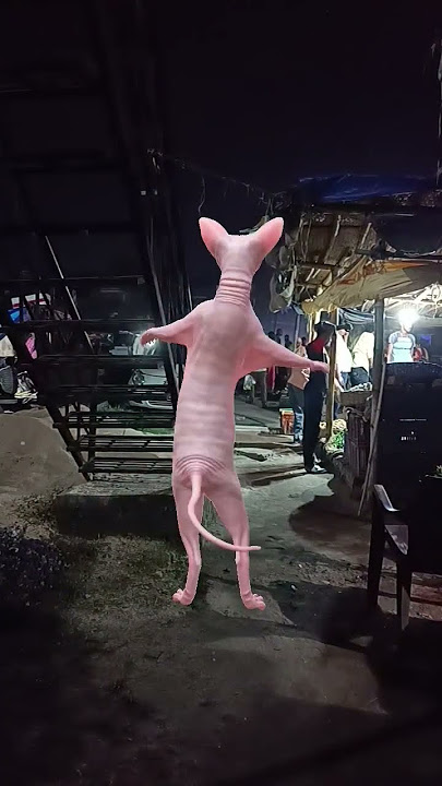 971