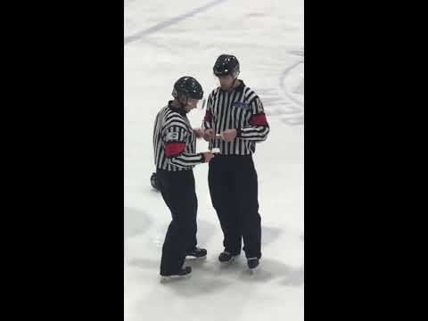 Massive bench brawl in the Canadian University Hockey league