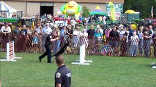 2012 Police Dog Demonstration! at the Orange Country Fair