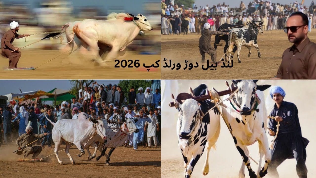 Lund World cup Bull race 2026