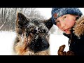 Зима за городом | В лес с собакой | Конная прогулка от первого лица