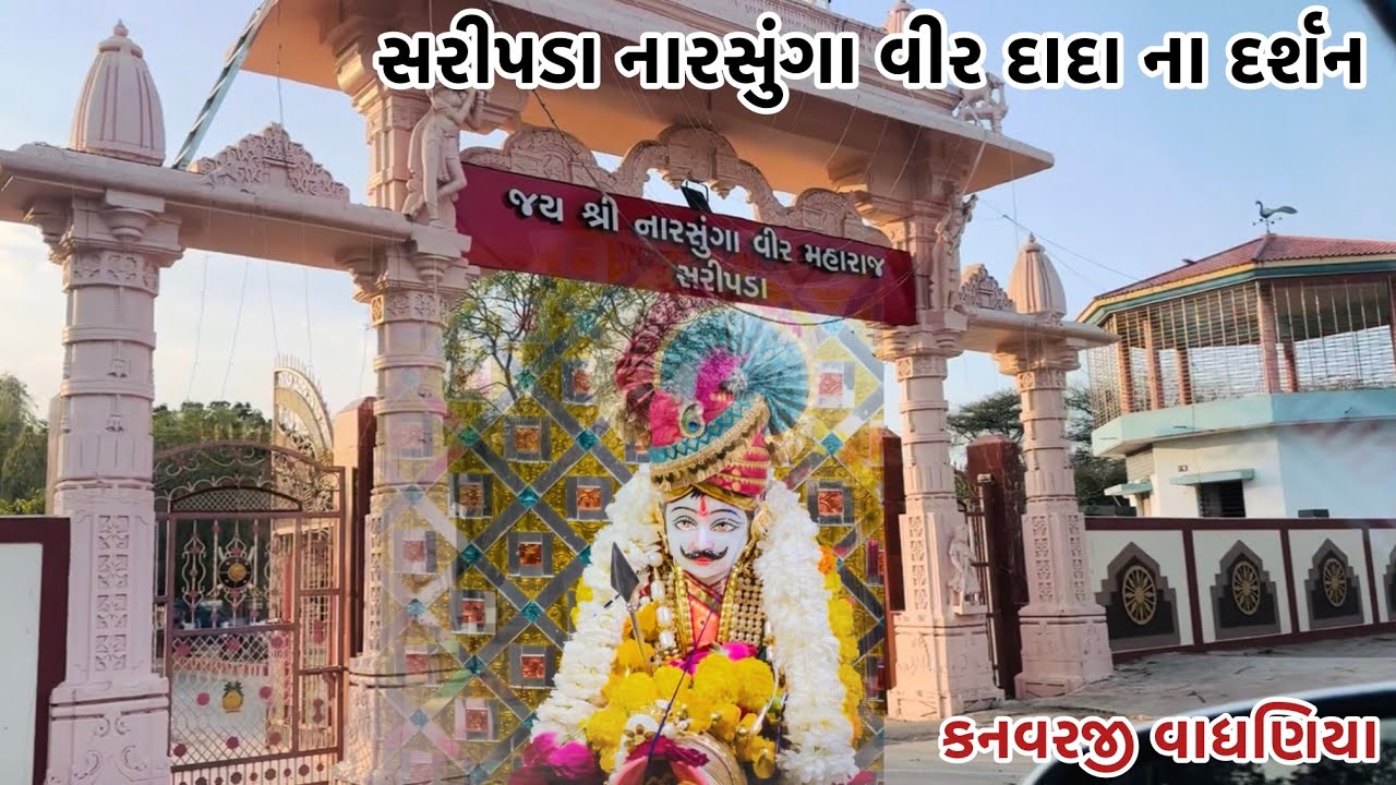 સરીપડા નારસુંગા વીર દાદા દર્શન #vairalvideo #farming #p_k_vadhaniya 