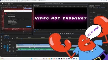 Fix Premiere Pro Black Screen Audio Works, Video Not Showing + Accelerated Renderer Error