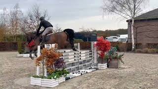 Download Lagu DHT 04-12-2025: Ushuaia van de Donkhoeve, mare, 2020 by  Parfait van het Schaeck MP3