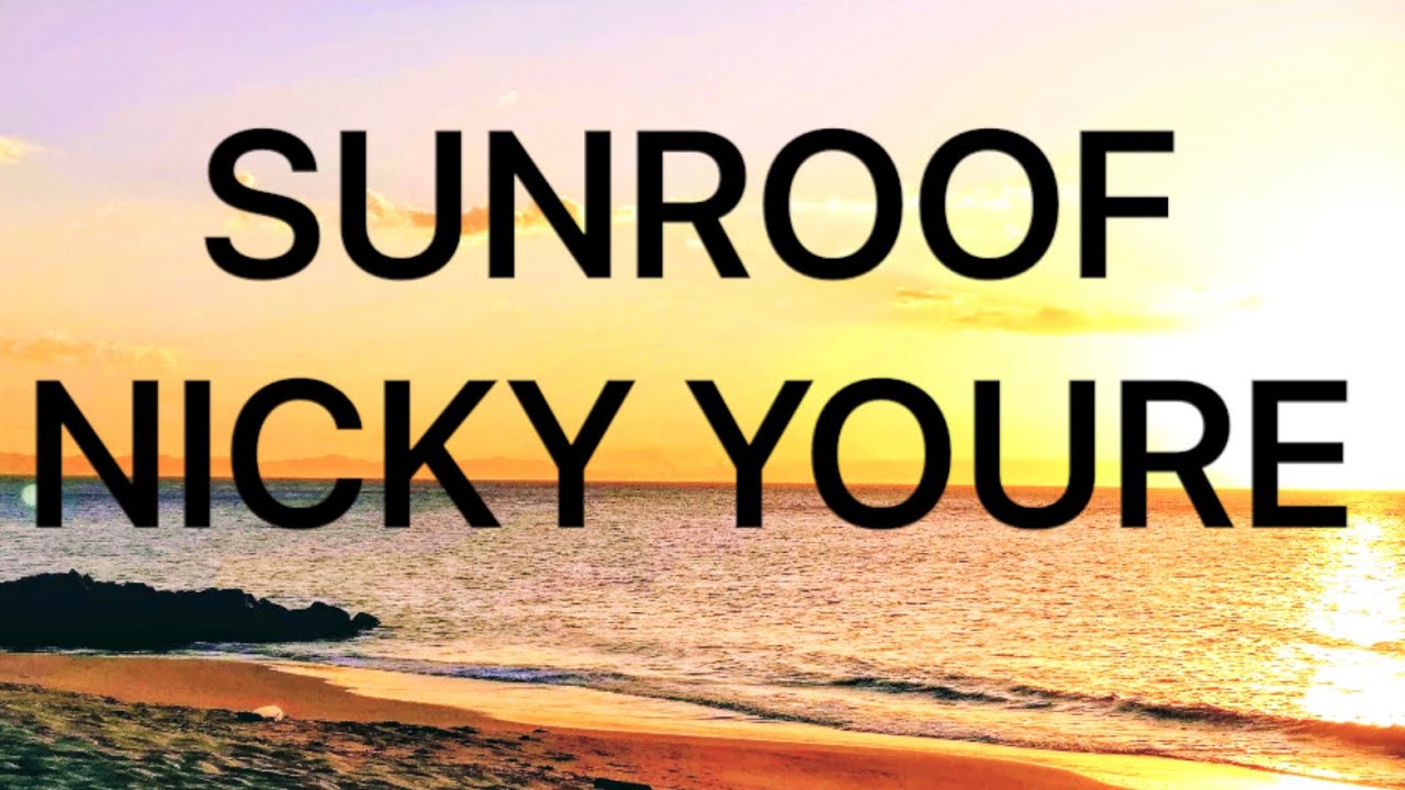Nicky Youre, dazy Sunroof (lyrics) I got my head out the sunroof