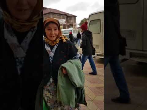 Как в Дагестане выращивают кавказских овчарок для собачьих боев