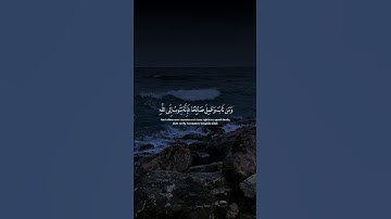 و من تاب و عمل صالحا #قرآن #قران_كريم #راحة_نفسية #راحه_وطمأنينه_للقلب #اذكار_الصباح #اذكار_المساء #