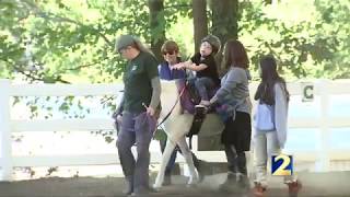 Chastain Horse Park use horses to heal
