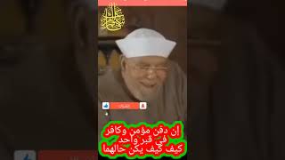 خواطر الشعراوي - إن دفن مؤمن وكافر في قبر واحد كيف كيف يكن حالهما