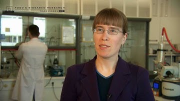 Semantics in food research: Tiffany and Rosanne