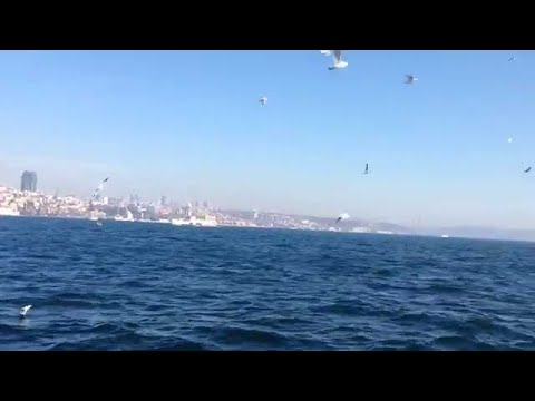 İSTANBUL ŞARKILARI FİKRET ERKAYA  SAZLAR ÇALINIR