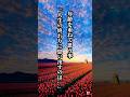 年齢を重ねて思う事『人生の終わりに思い出すのは...』#名言 #名言集 #心に響く言葉