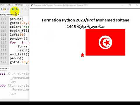 python flag of tunisia