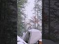 Hailstorm, Windstorm and Rainstorm Camping on Mountain Top with my Dog