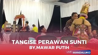 Tangise Perawan Sunti bygandrung Mawar Putih mandaluko