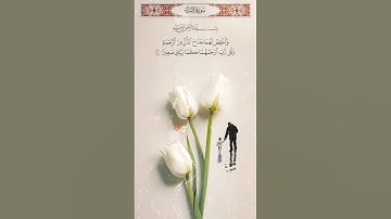 سورة الإسراء،  وقضى ربك الا تعبدوا الا اياه و بالوالدين إحساناً