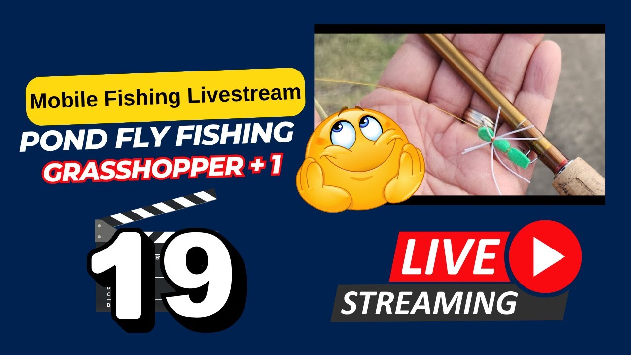 More Foam Grasshopper Plus 1 Fly Fishing 