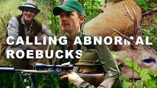 The Truth About Abnormal Roebucks