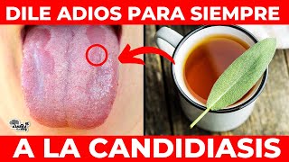 Como Eliminar CANDIDIASIS Naturalmente en casa: 🌿 ¡La solución del sabio!